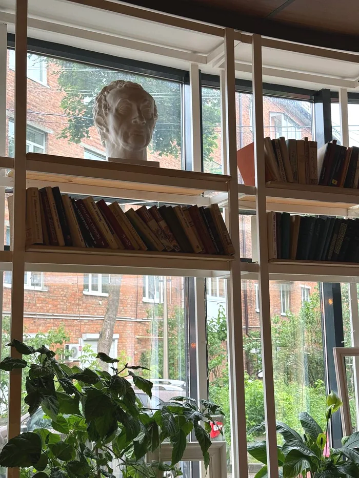 Книжные полки и растения в интерьере кафе